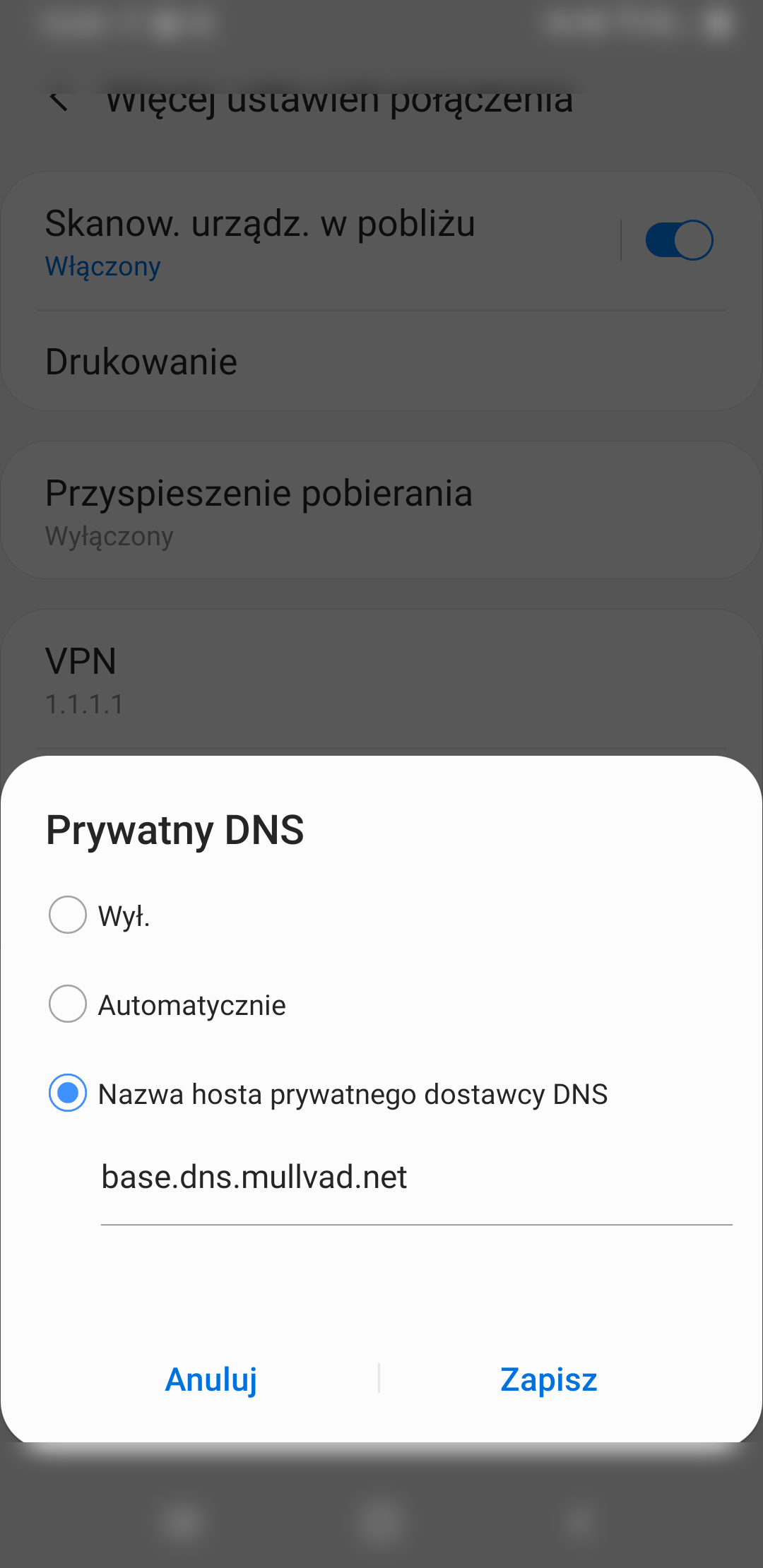 Ustawienia Prywatnego DNS